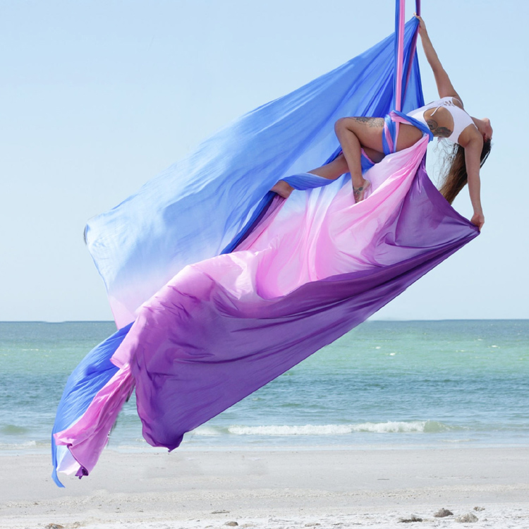 Aerial Yoga Swing, Durable Nyl - Pilates Yoga Home review and price